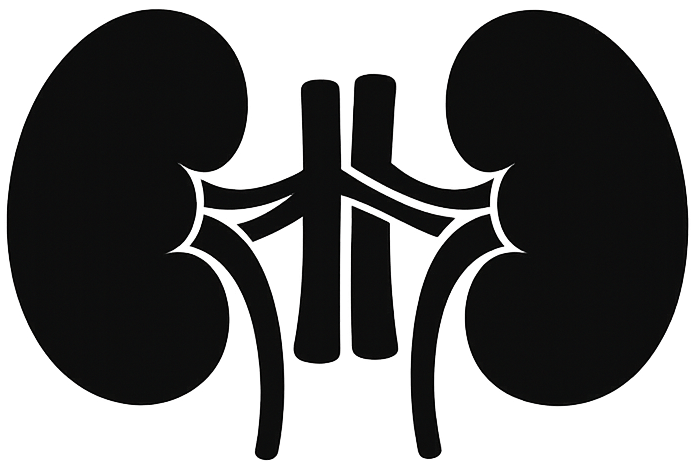 Kidney icon