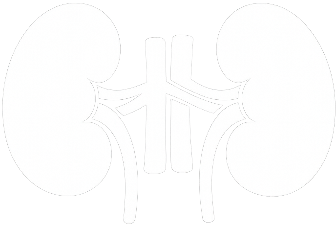 Kidney icon